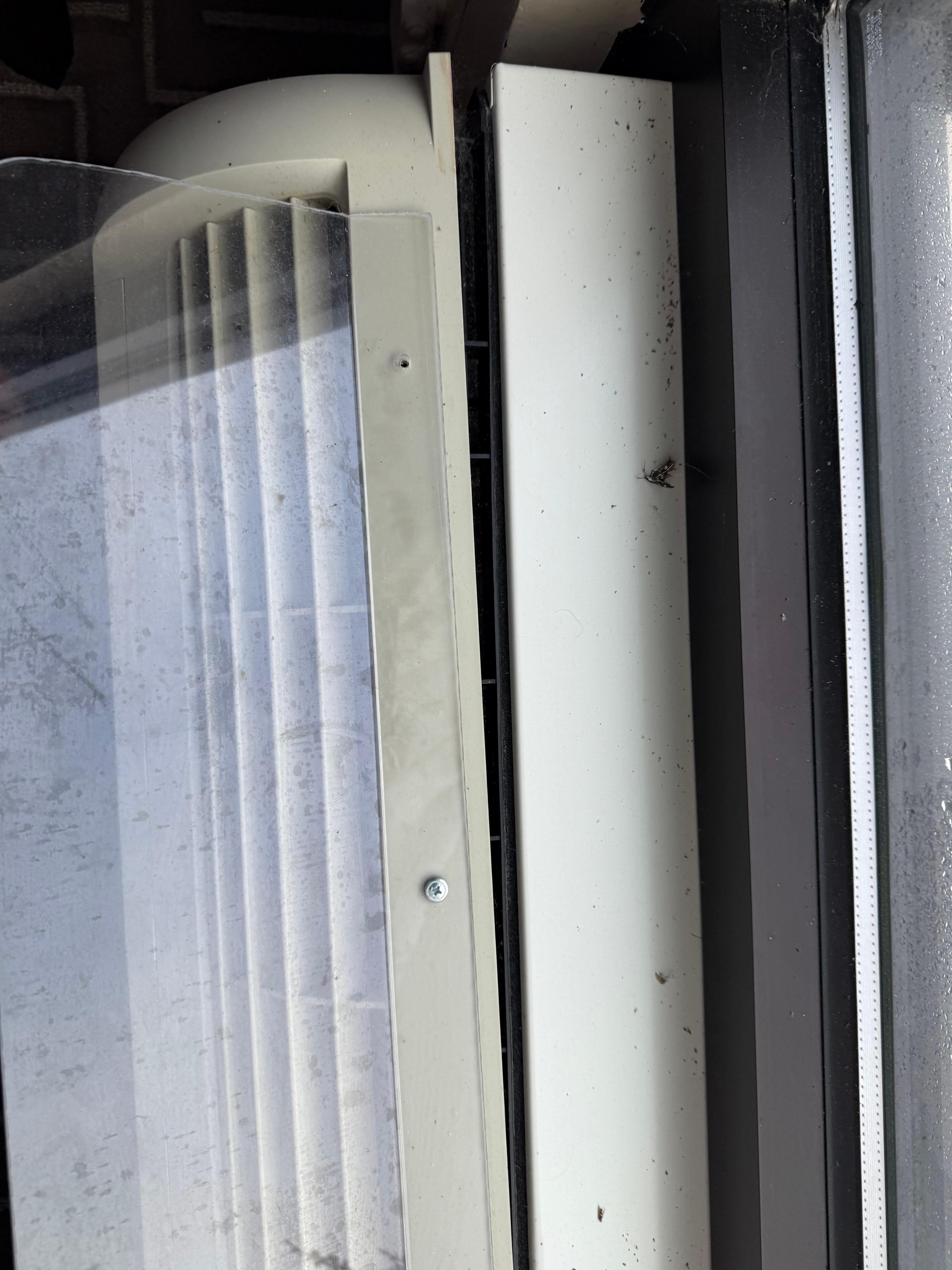 Bugs all along the window sill. 