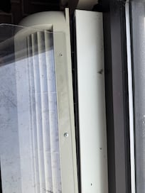 Bugs all along the window sill.