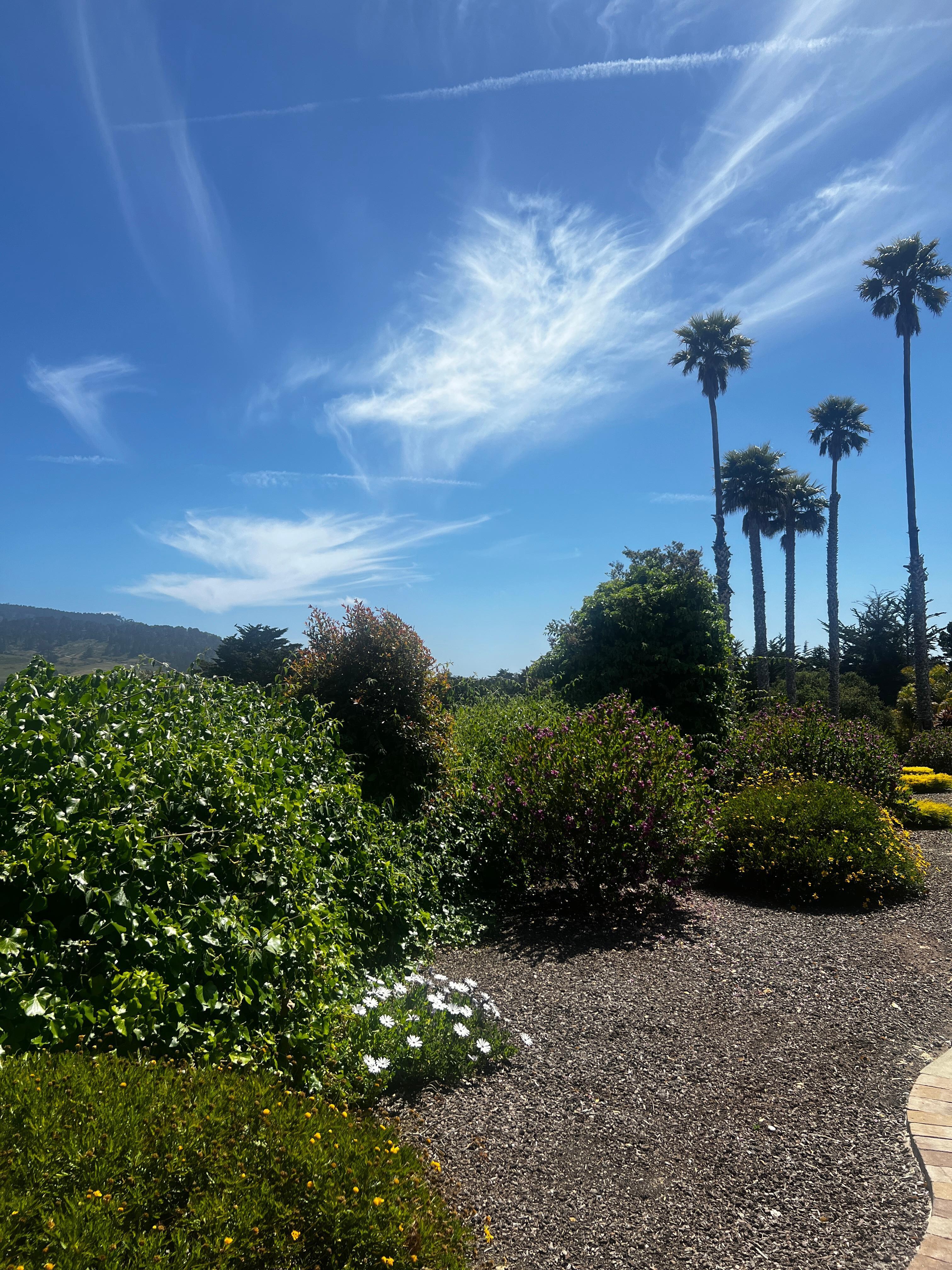 View from the patio