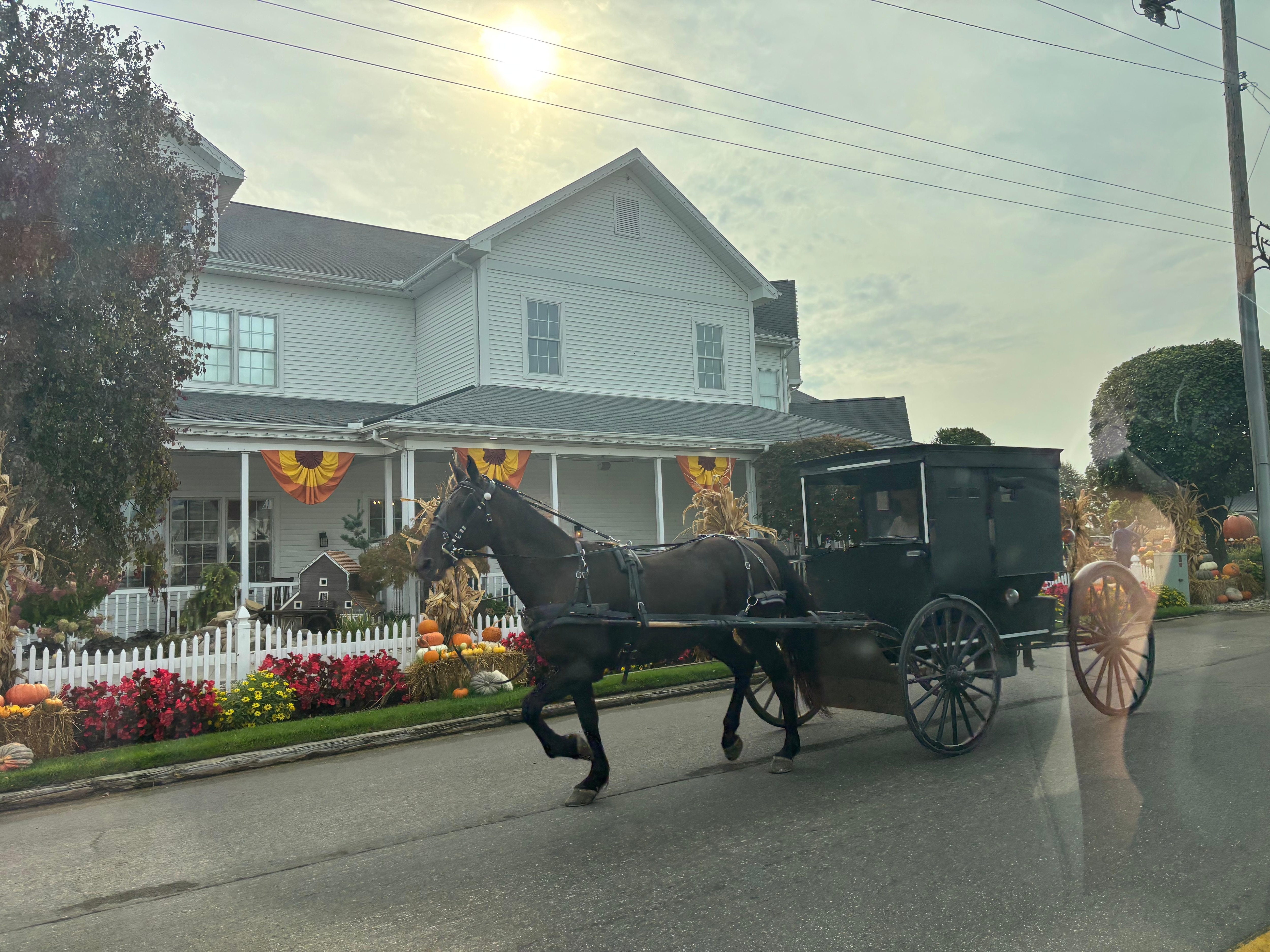 Shipshewanaw 15 minutes away with lots of great things to do