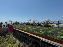 Rooftop Bar at Hotel Erwin