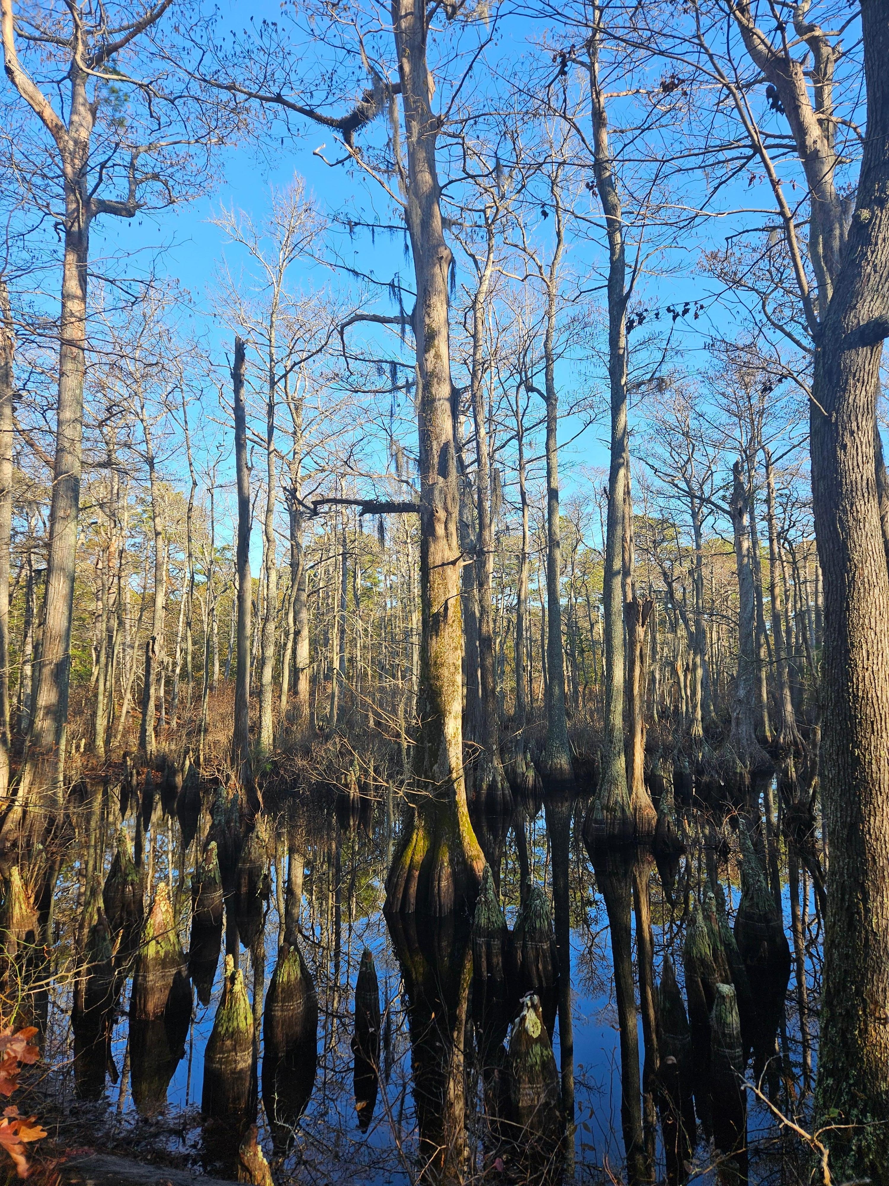 First Landing State Park