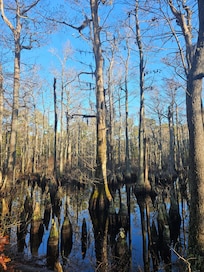 First Landing State Park
