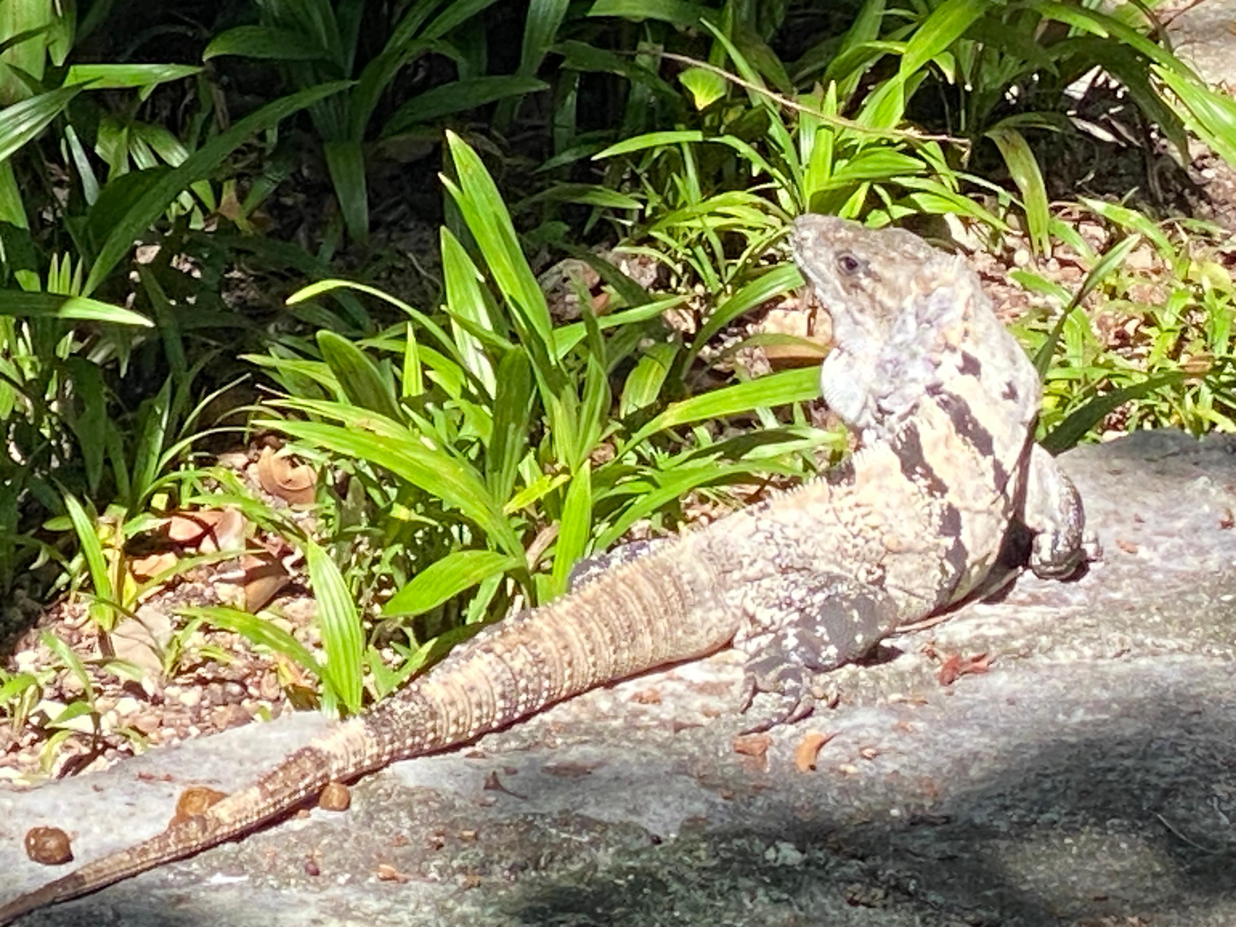 Outside Fisherman's resort