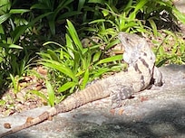 Outside Fisherman's resort