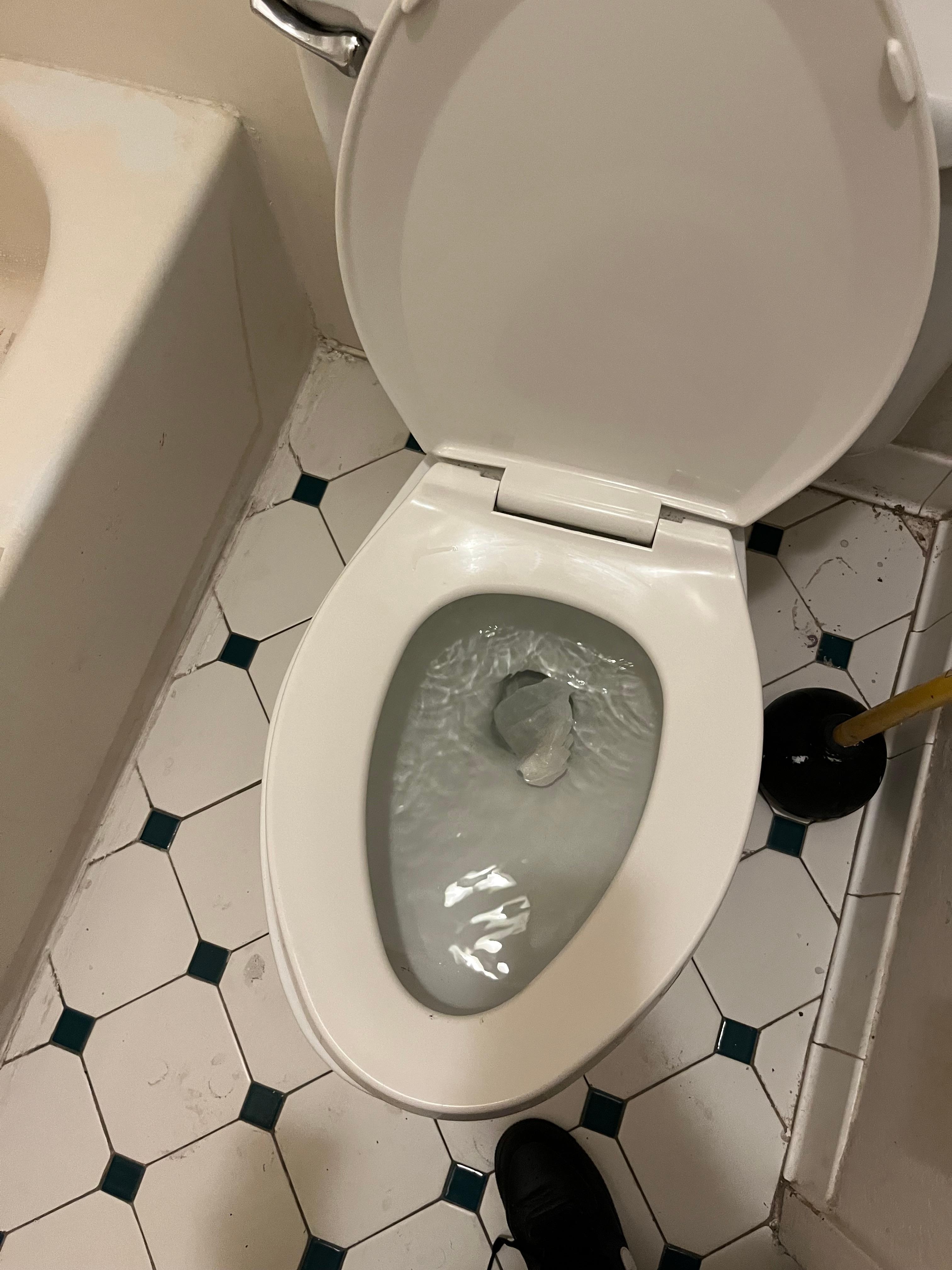 Toilet want flush