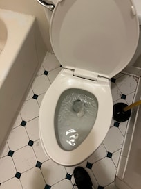 Toilet want flush