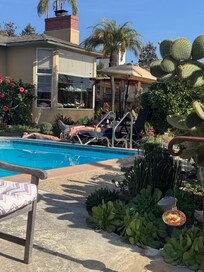 Looking towards the owners home and the adorable iguanas