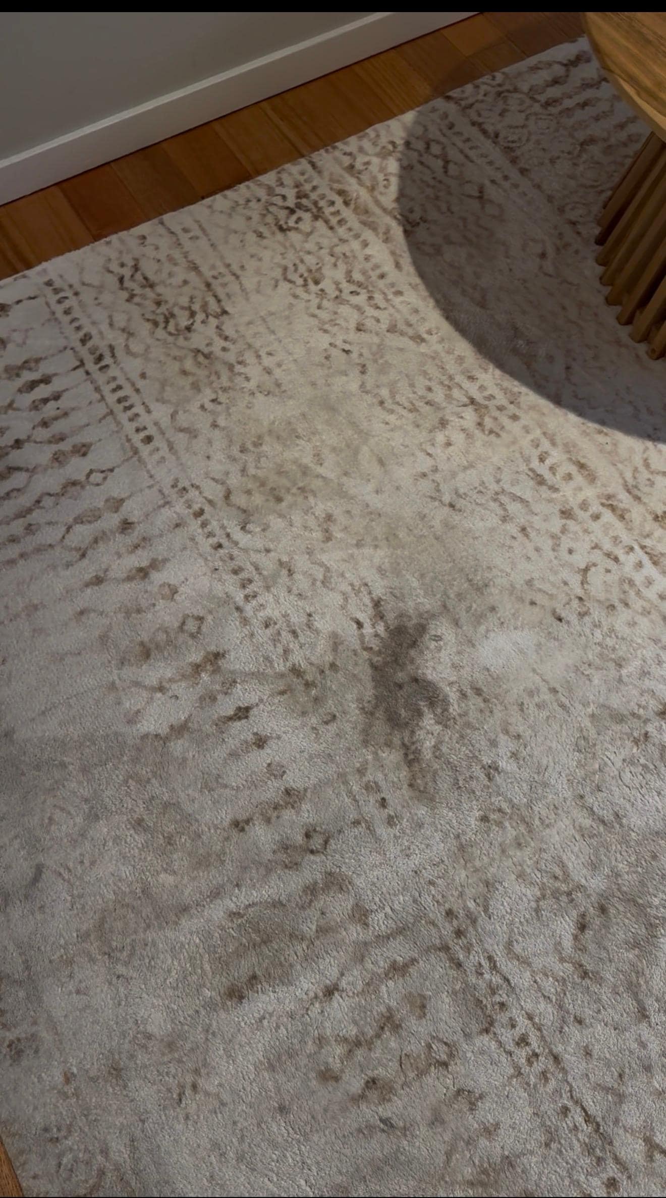 Stains in rug 