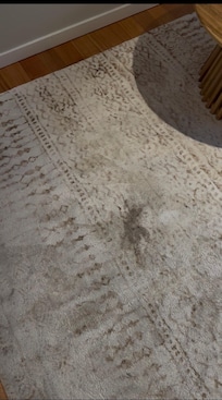 Stains in rug
