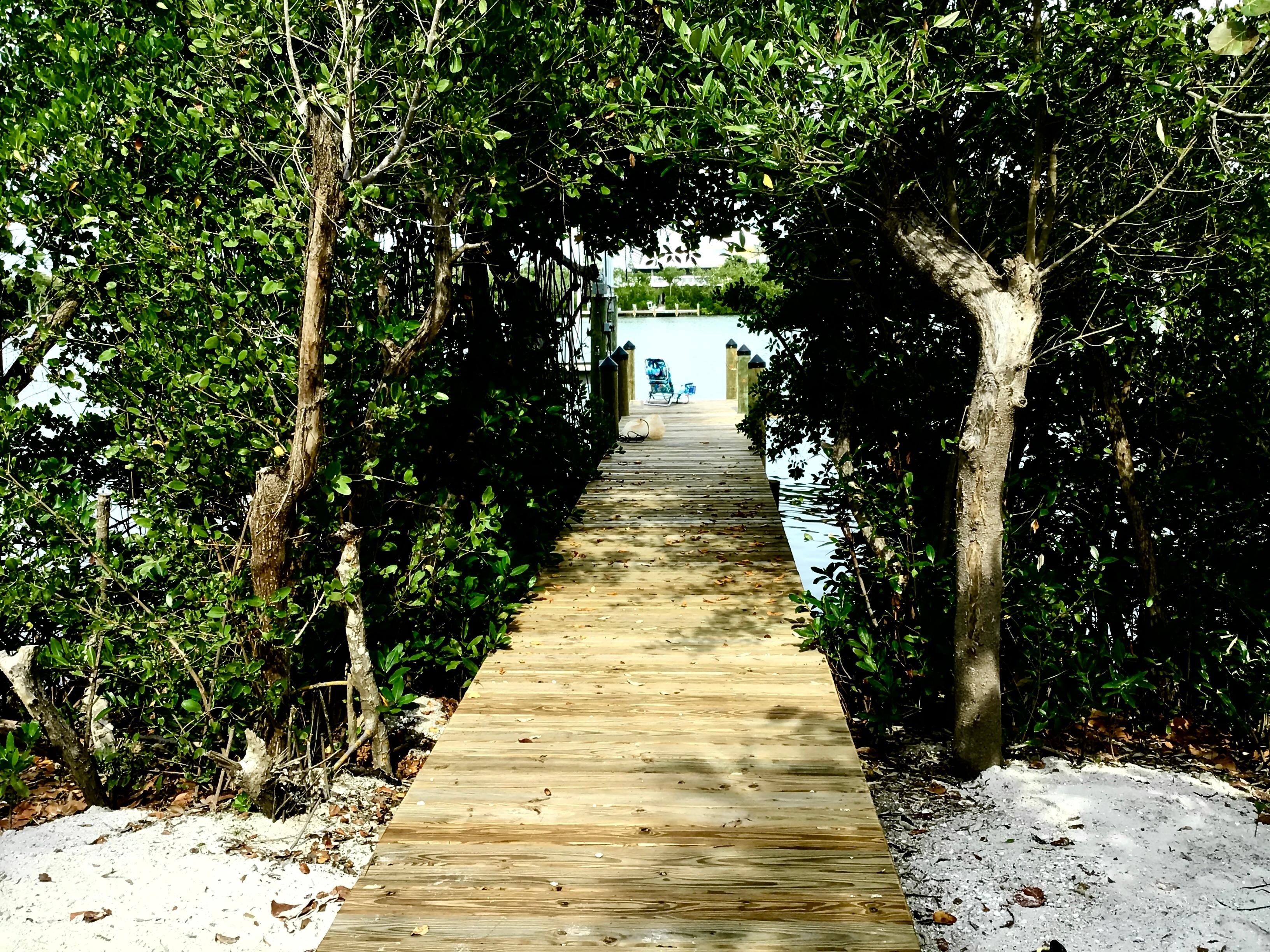 Walkway to back bay