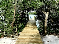 Walkway to back bay
