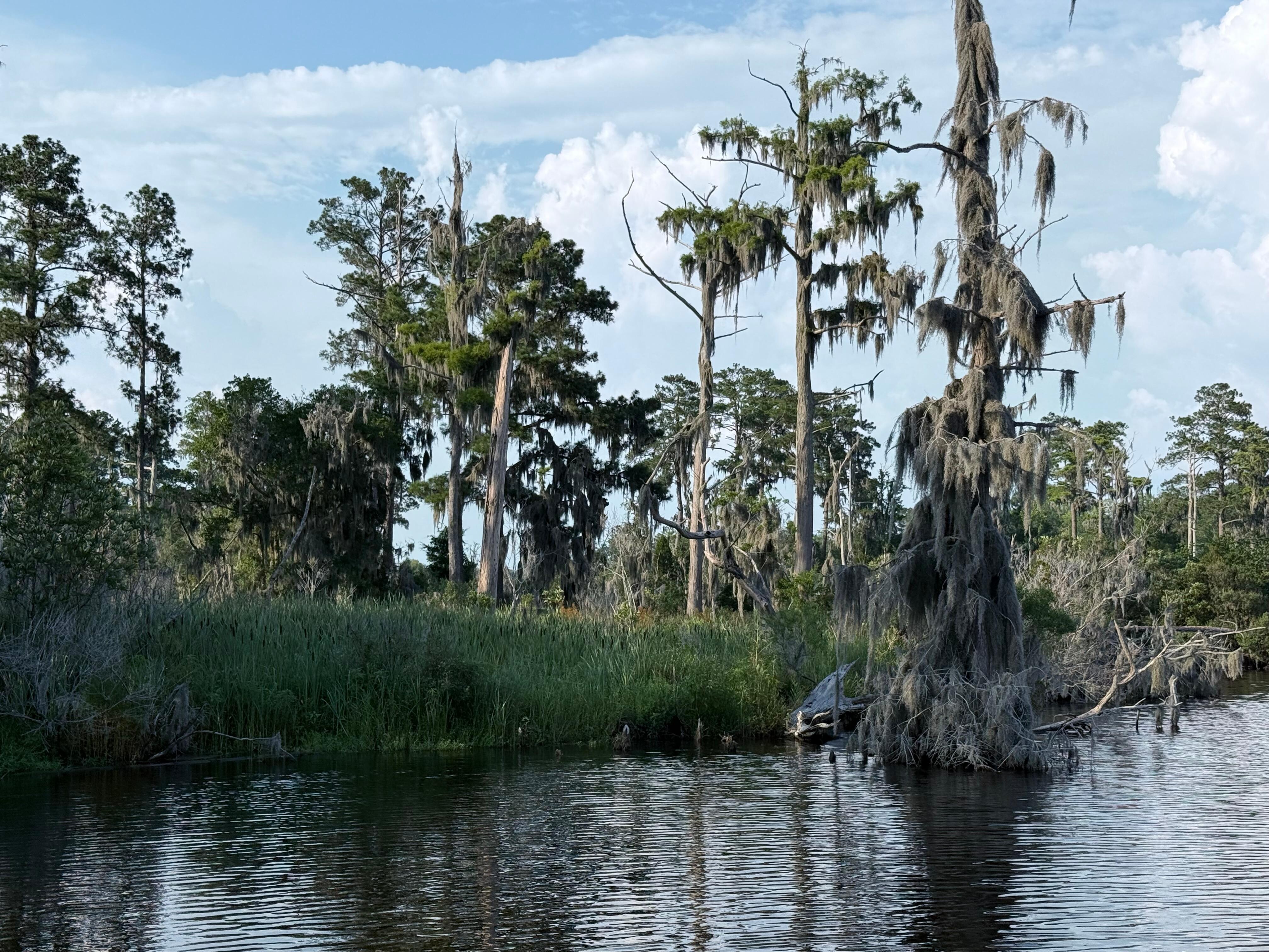 View on the creek. 