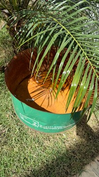 Cigarette butts in front of my room window, even if the place is smoke free.