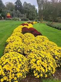 Visit the Hershey Gardens
