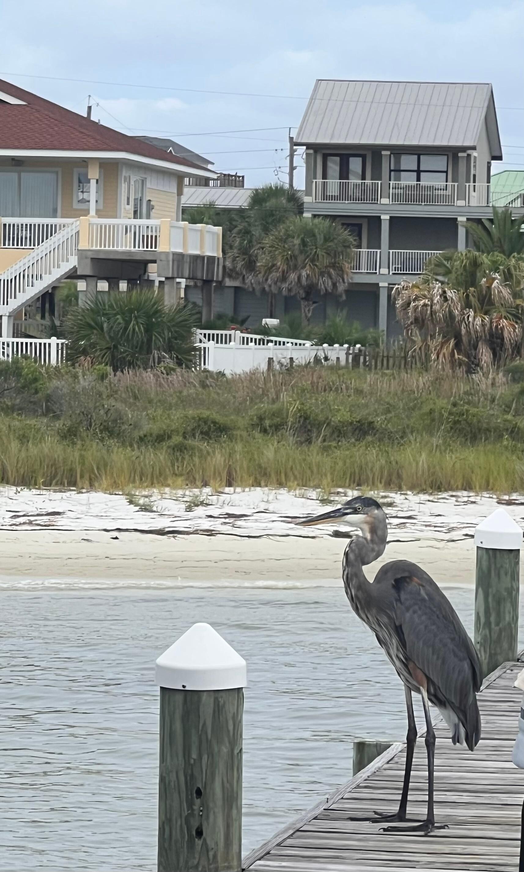 We loved the wildlife :)