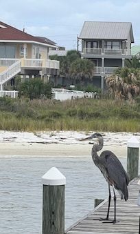 We loved the wildlife :)