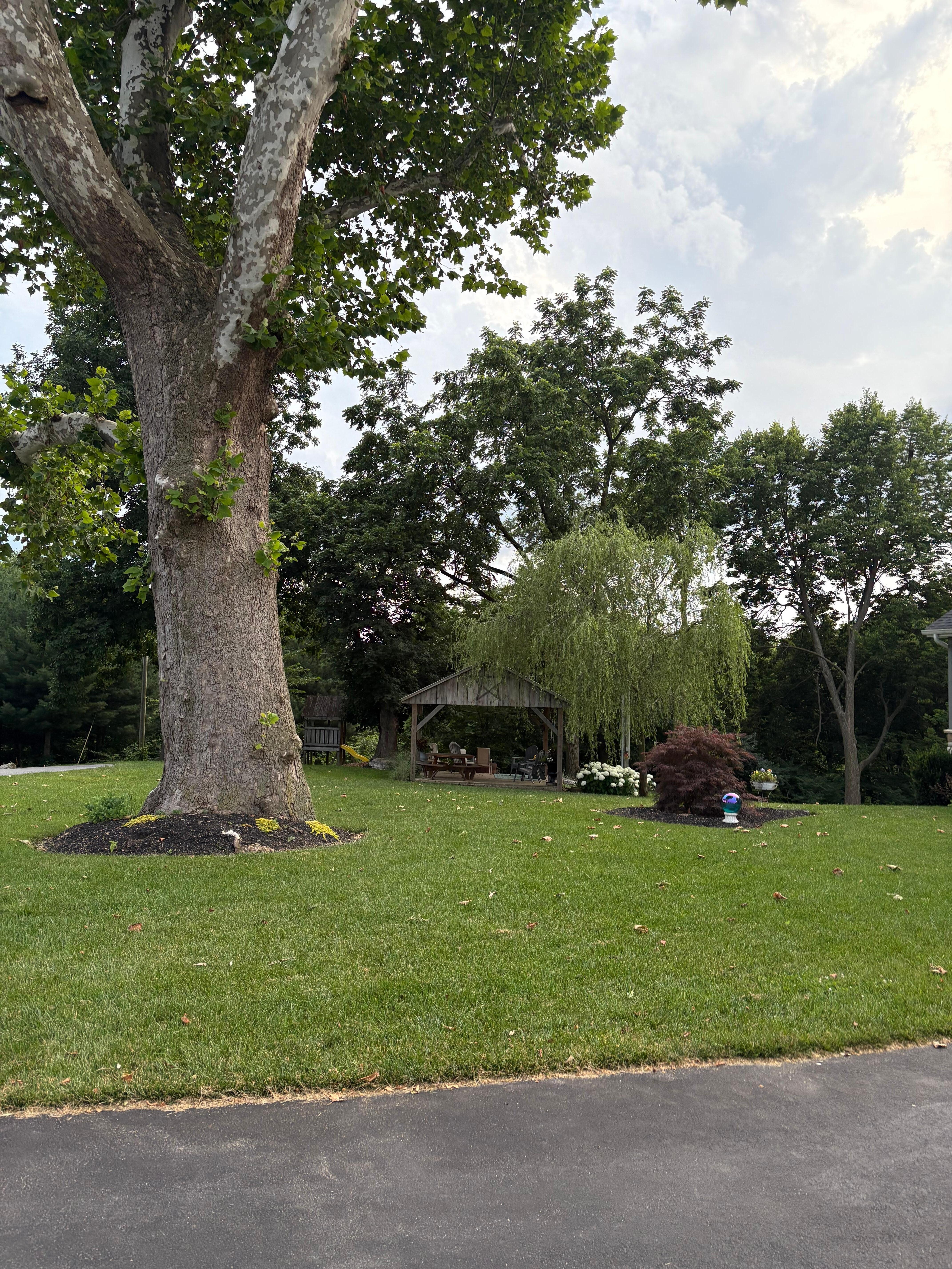 Side yard… nice place to read, relax, or watch the fireflies light up the yard