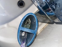 Inside of Toothbrush holder