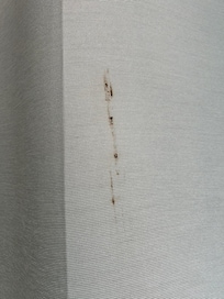 Living room curtains stained_2