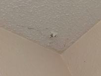 Ceiling over shower peeling with a hole