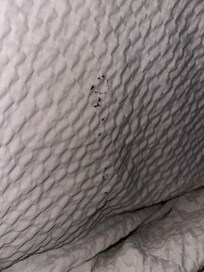 One example of major stains.