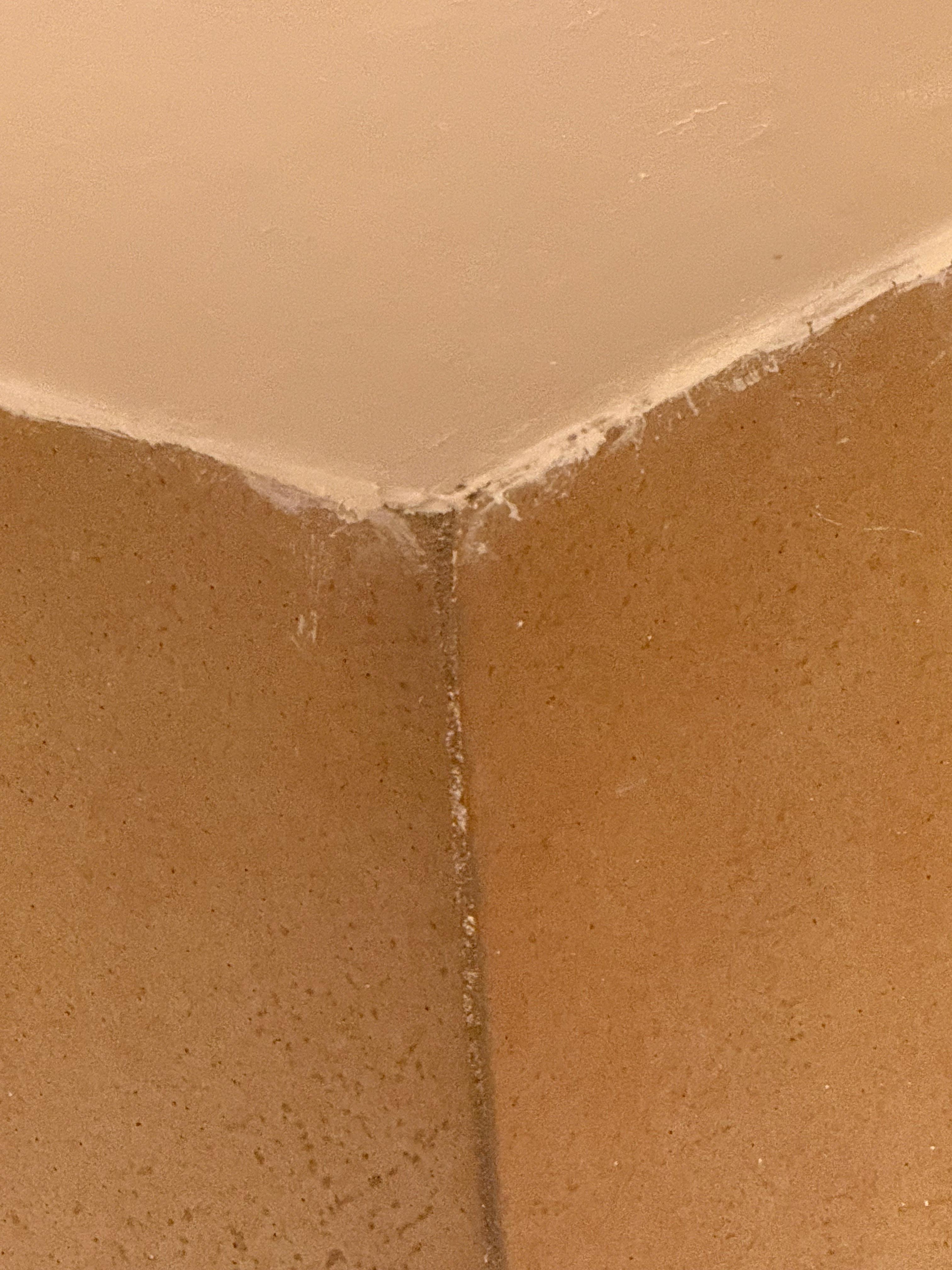 Inside master shower 