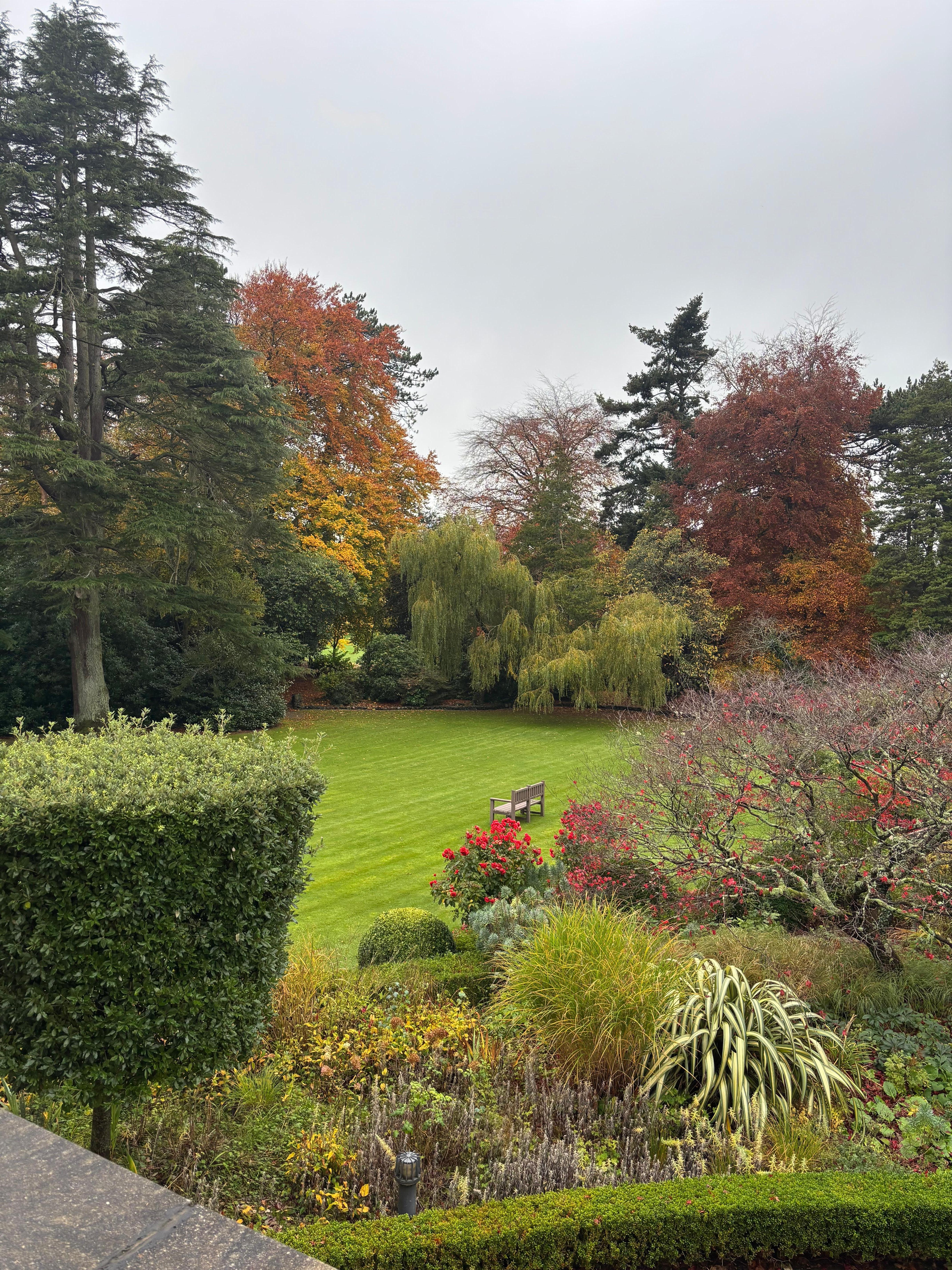 View from room hotel grounds 