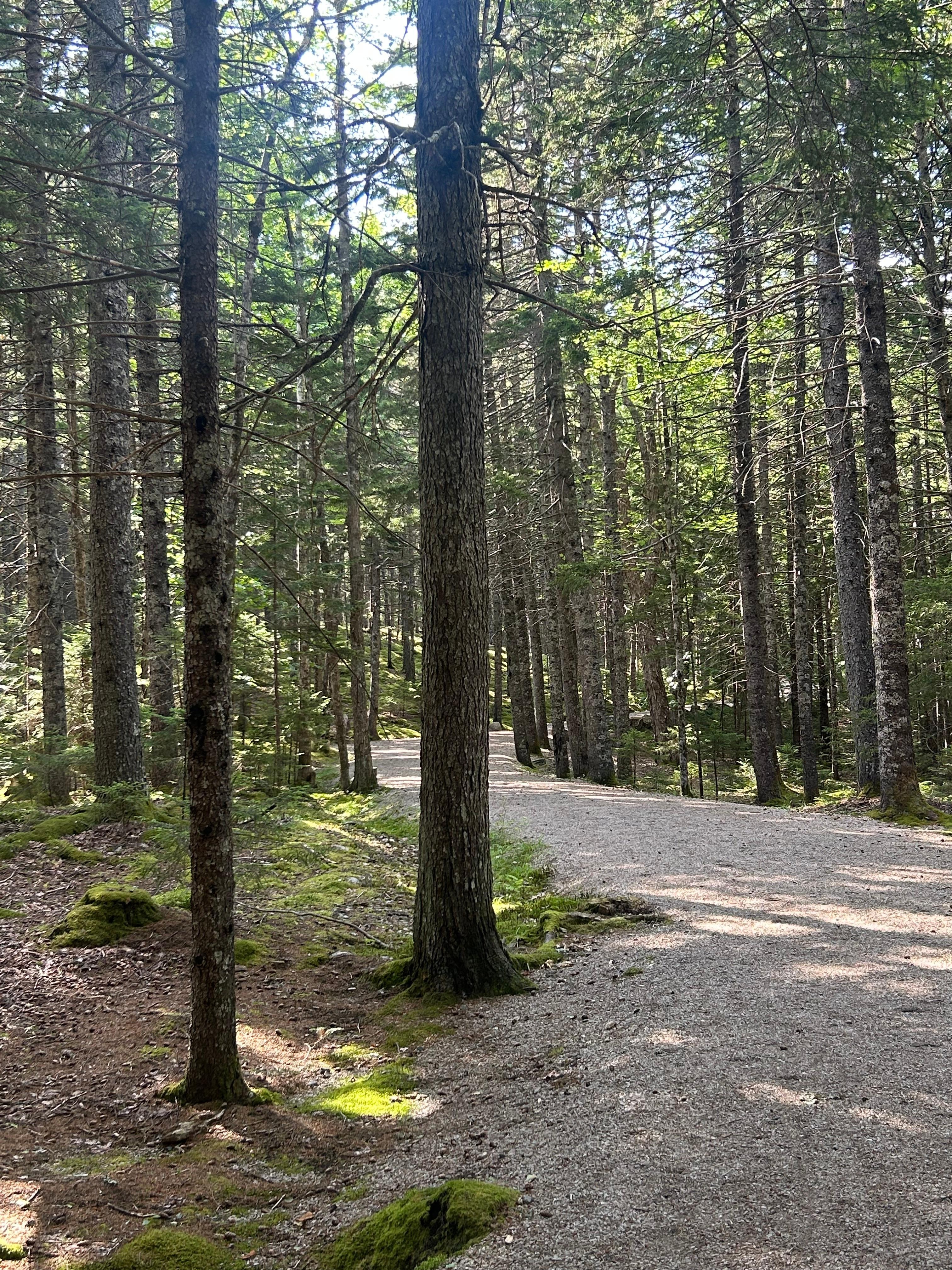 carriage trail directly from house