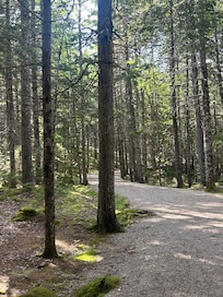 carriage trail directly from house