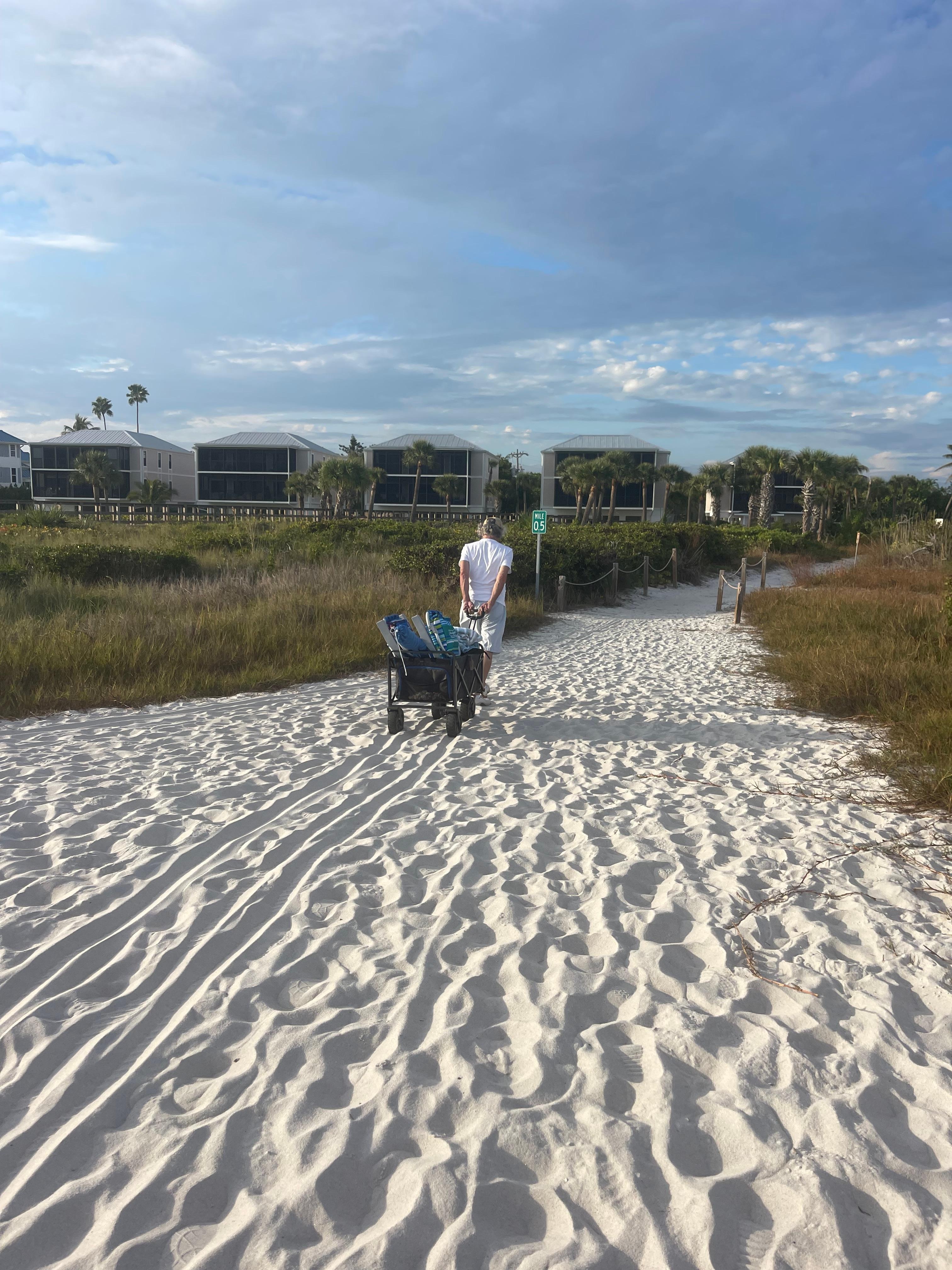 Bring your buggy cart