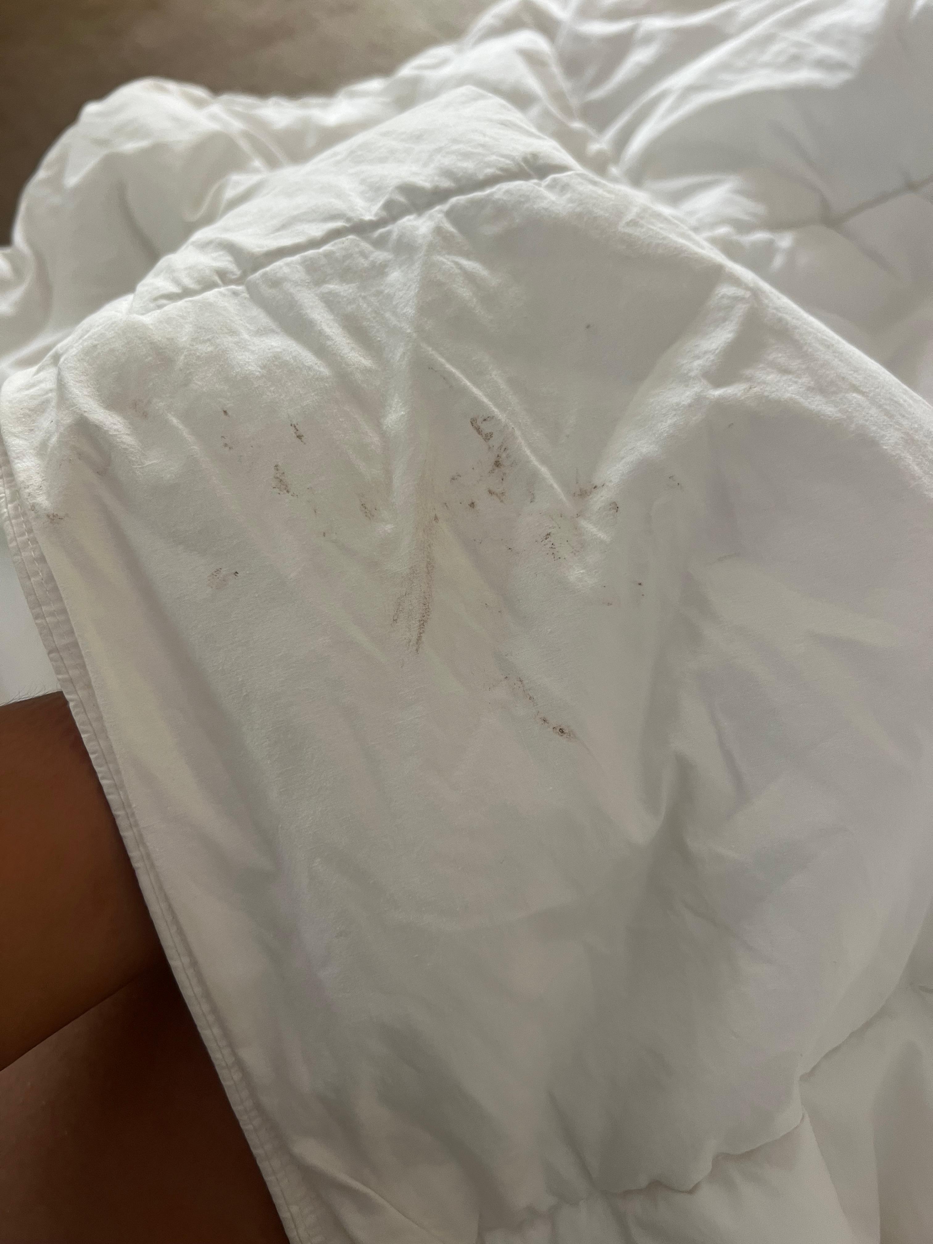Bedding all stained