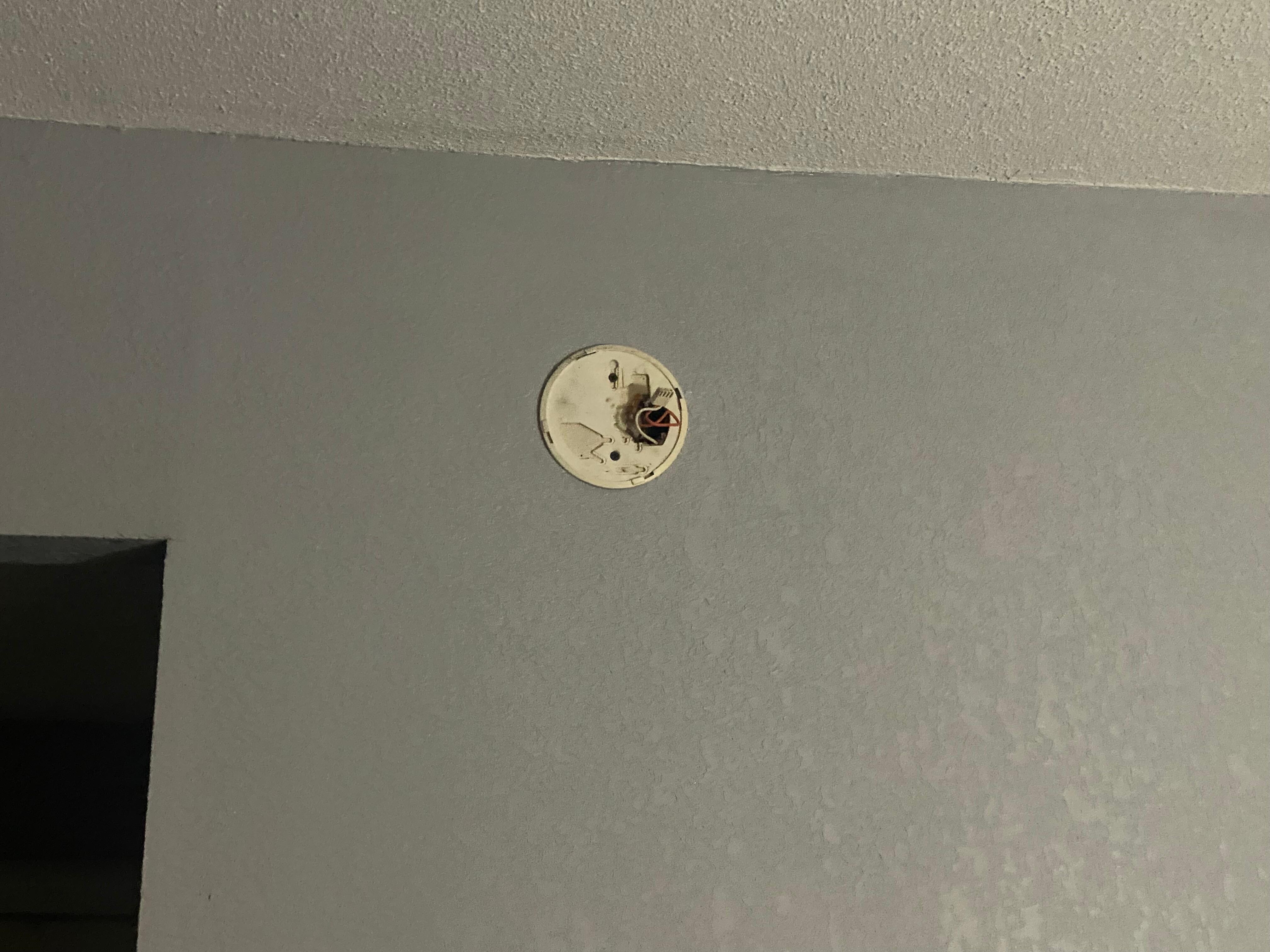 No smoke detectors