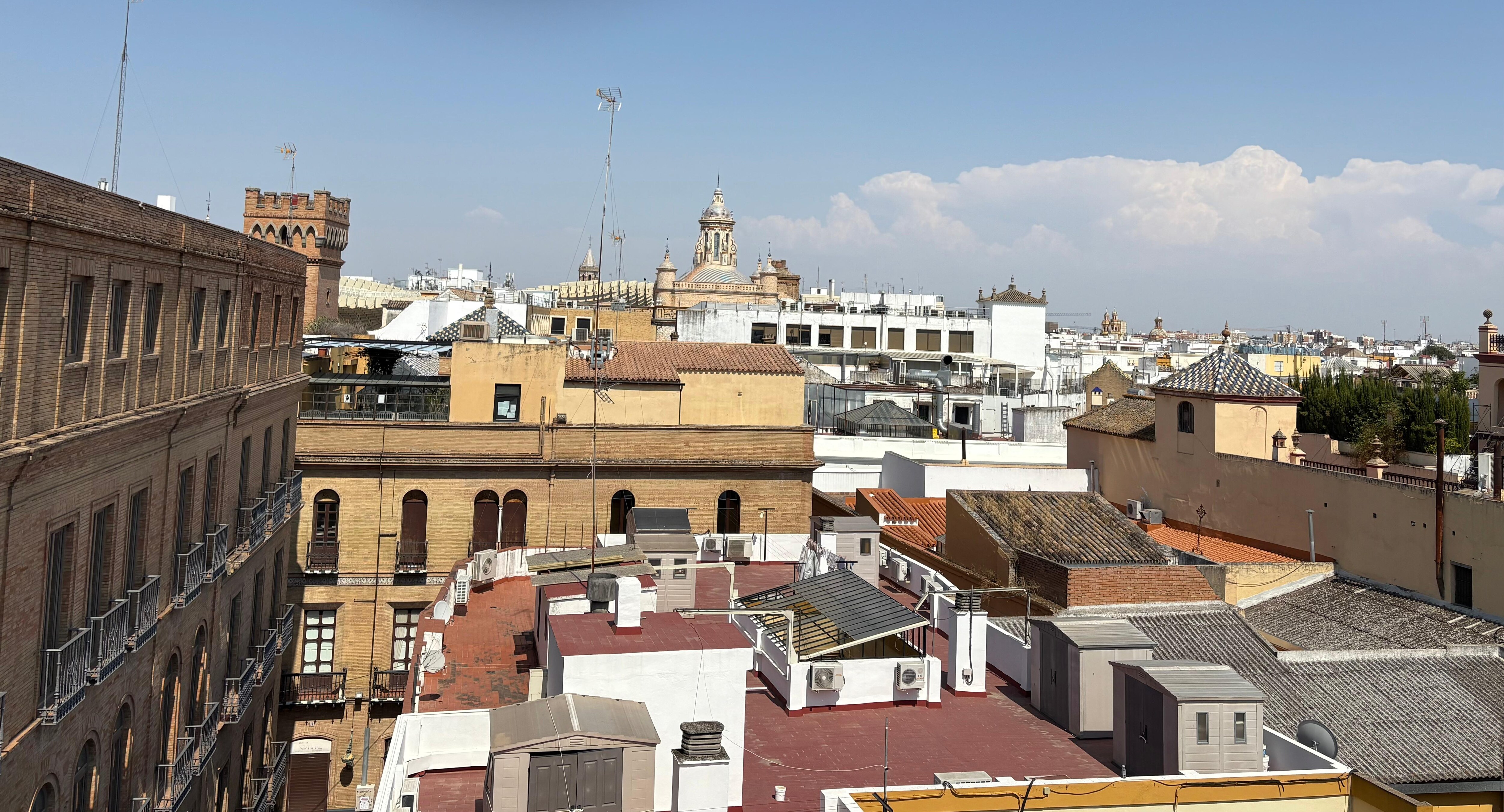 Panoramic rooftop views