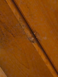 Mold and water dripping