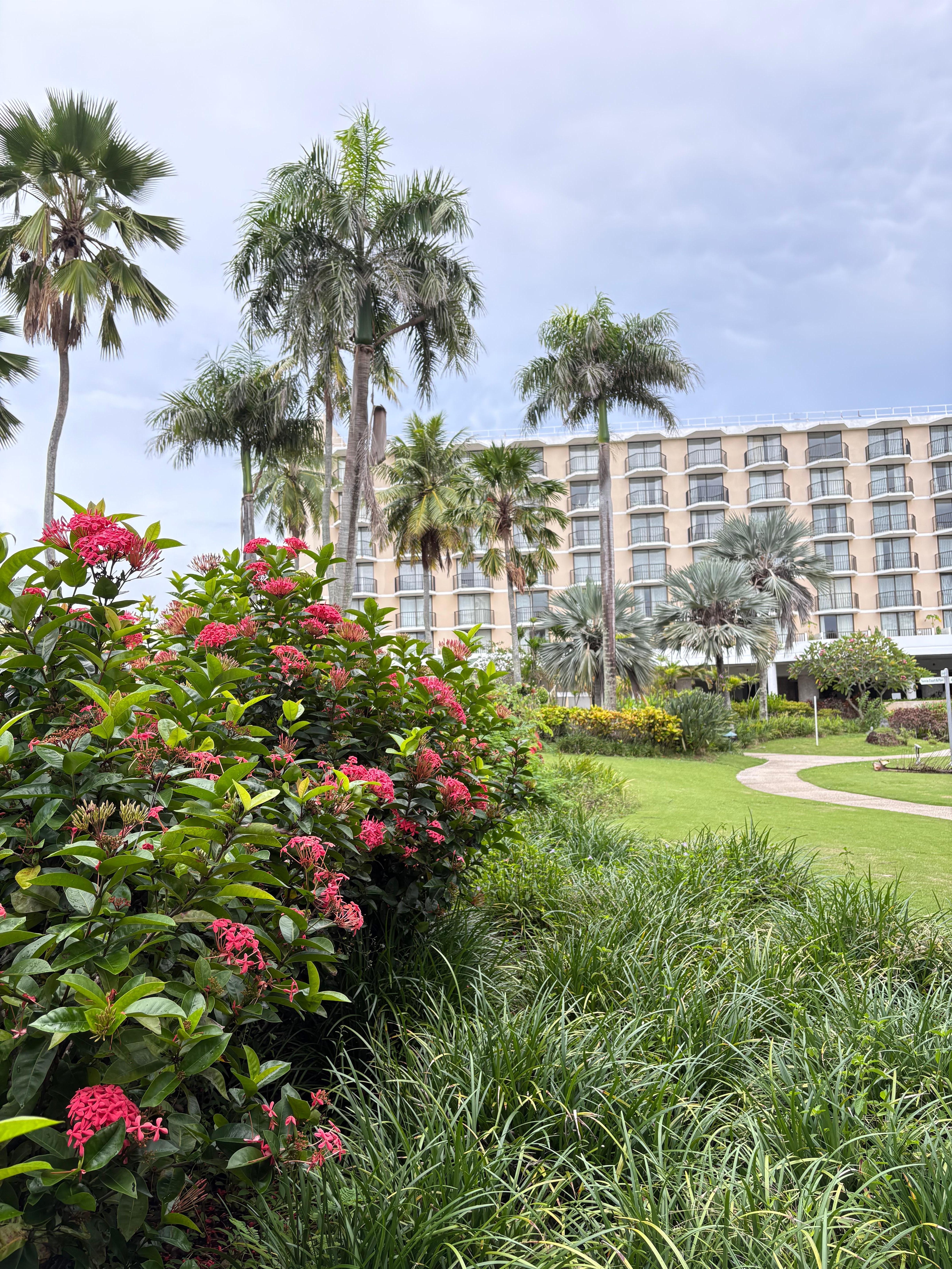 南国感あります