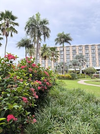 南国感あります