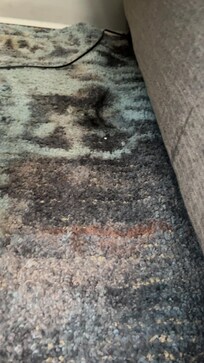 The apt was not properly cleaned there were bundle of black hair throughout the place which is disgustingly couldn’t.