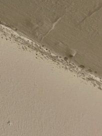 Mold