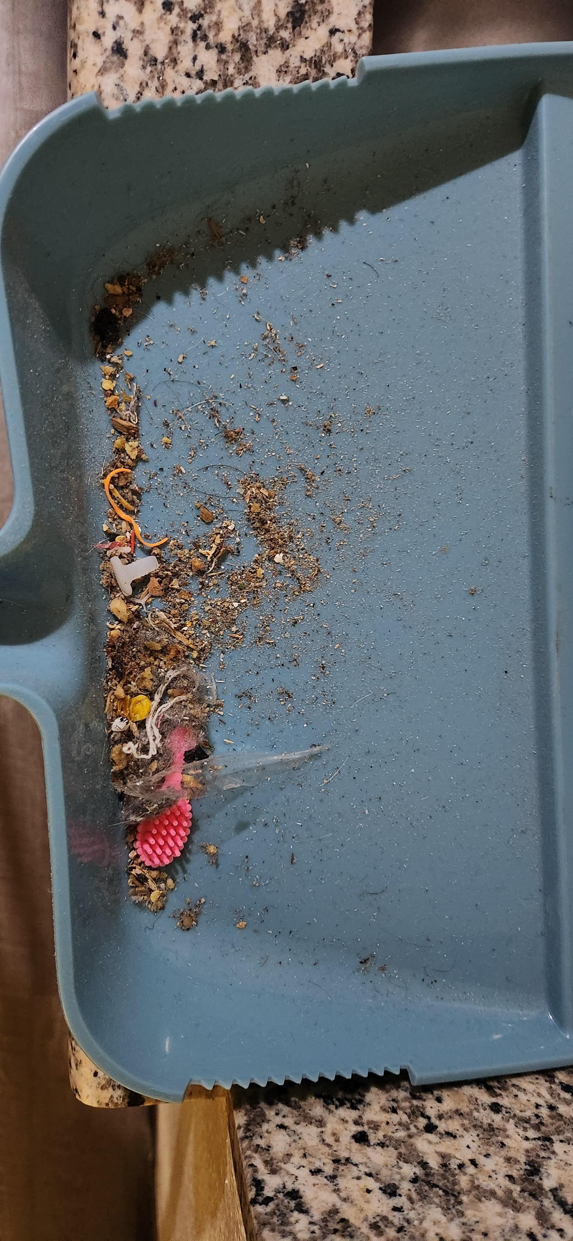 Accumulated dirt under nightstand.