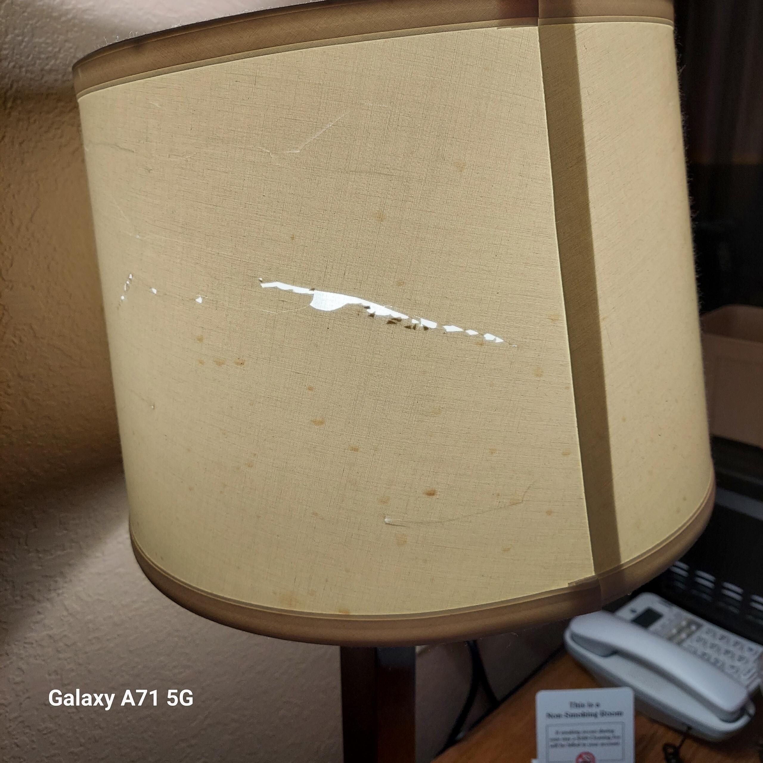 Lamp shade ripped
