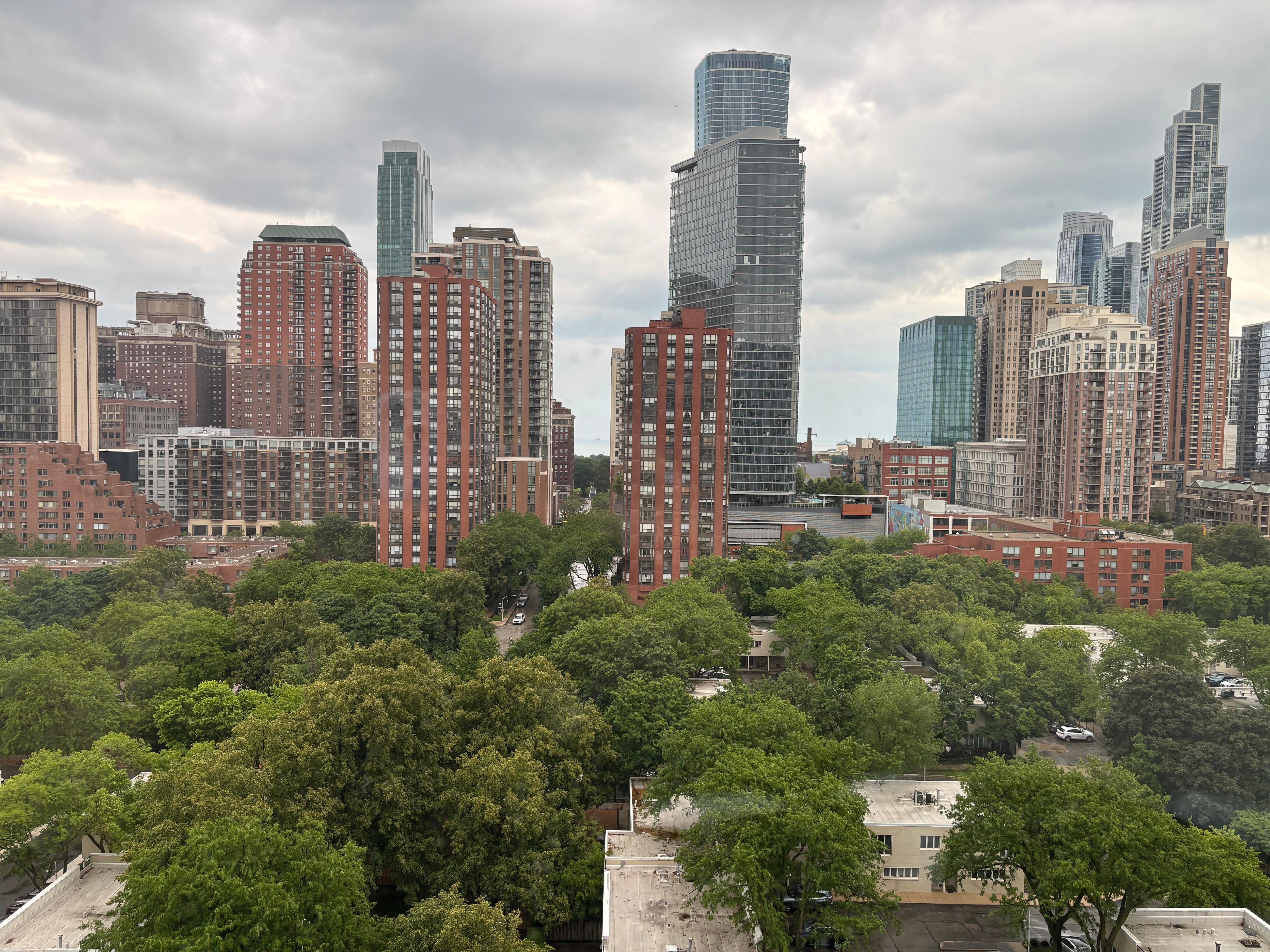 From the rooftop patio