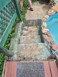 Entry steps