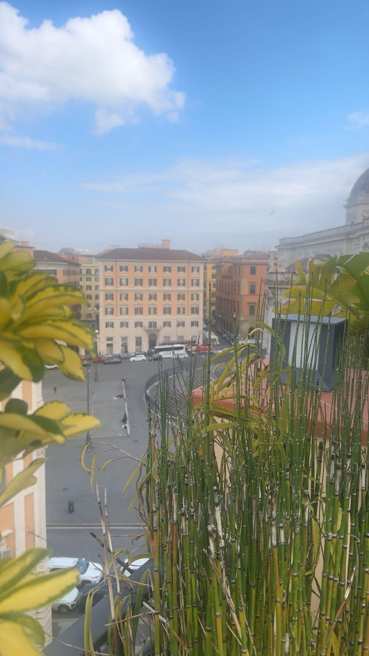 Kjempefin utsikt fra takterrassen 