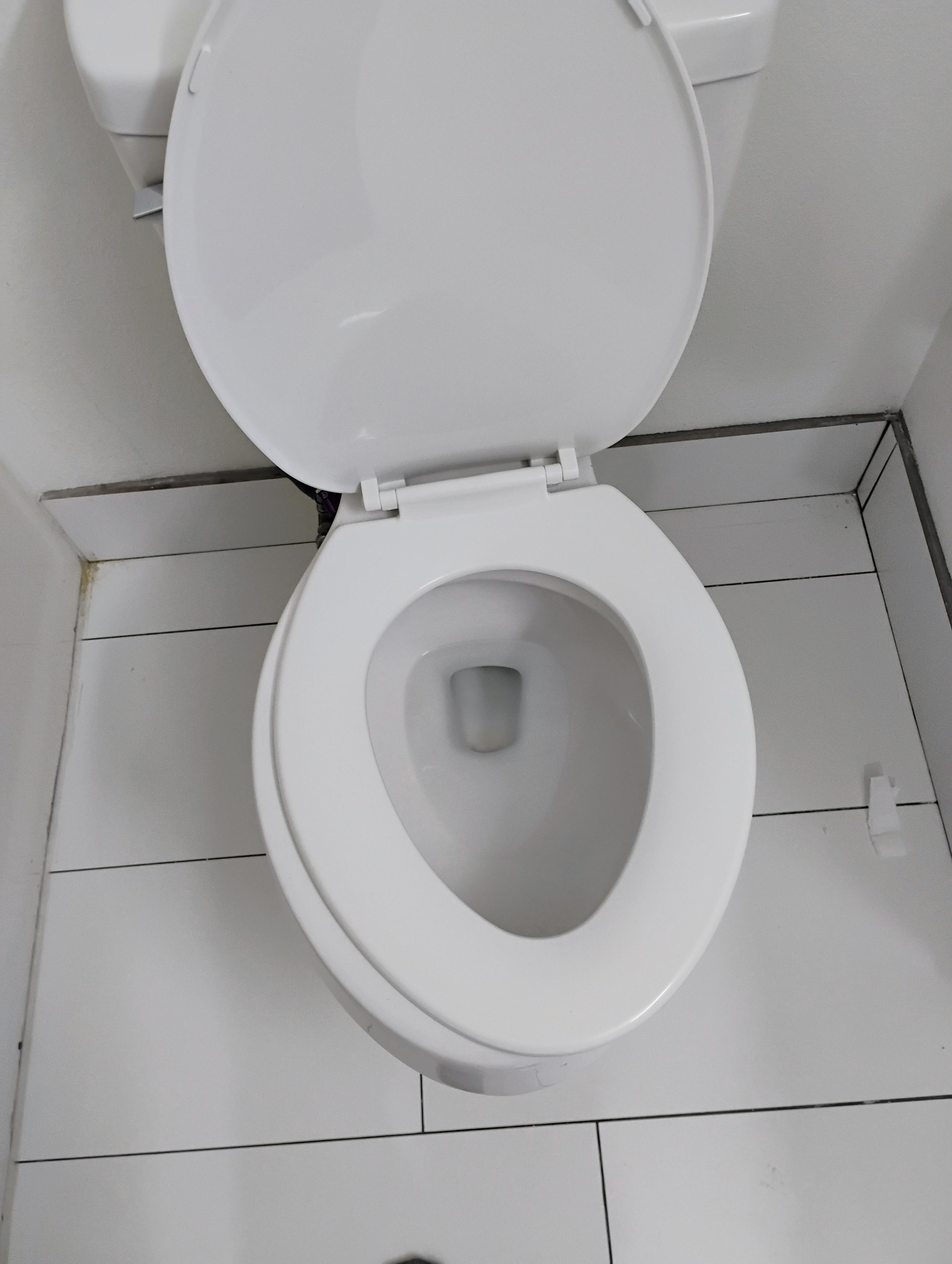 Loose toilet seat