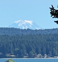 My Ranier from the deck