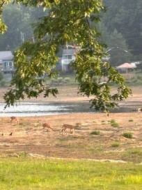 Lake view