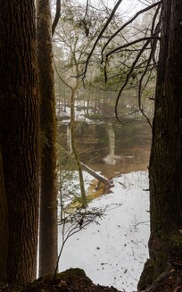 Bison Hollow - frozen waterfall