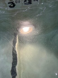 Filthy water in the hot tub