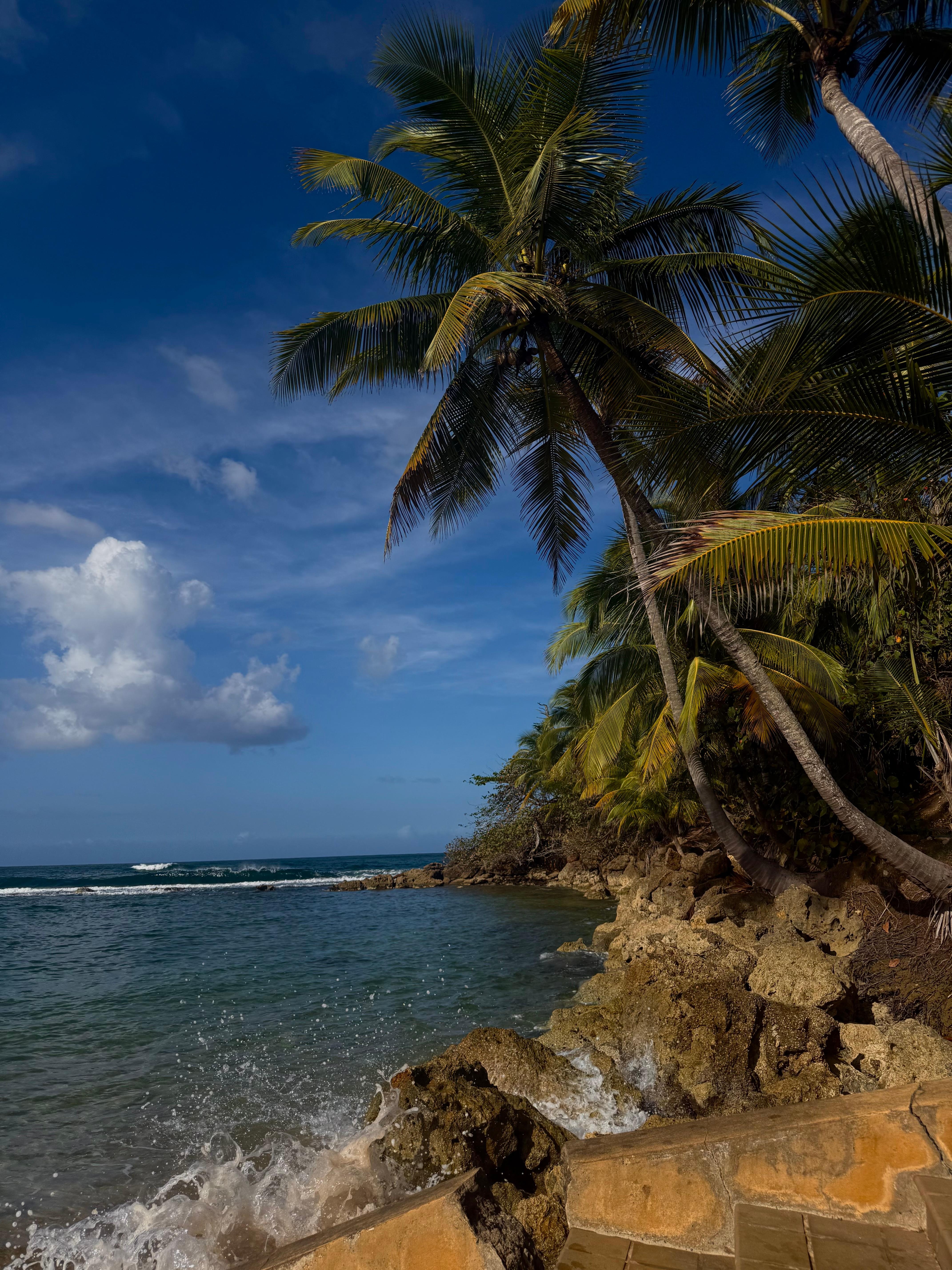 Picture for the beach! 